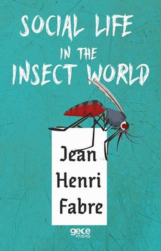 Social Life in the Insect World | Gece Kitaplığı