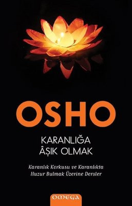 Karanlığa Aşık Olmak | Mega Yayınları