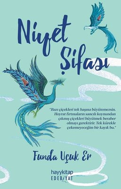 Niyet Şifası | Hayykitap (İnce Kapak)