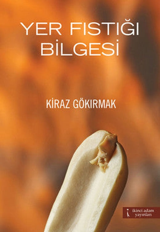 Yer Fıstığı Bilgesi | İkinci Adam Yayınları