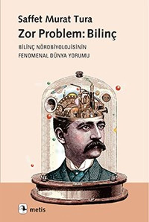 Zor Problem: Bilinç | Metis Yayınları