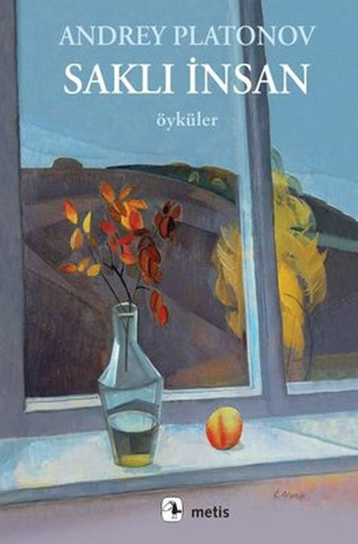 Saklı İnsan - Öyküler | Metis Yayınları