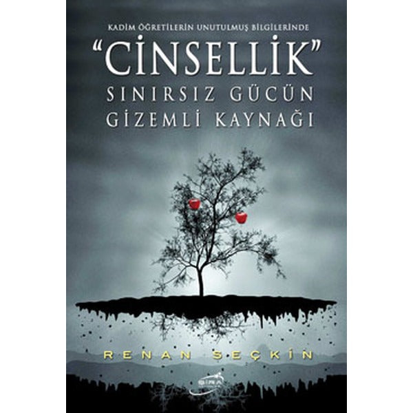 Cinsellik - Sınırsız Gücün Gizemli Kaynağı | Şira Yayınları (İnce Kapak)