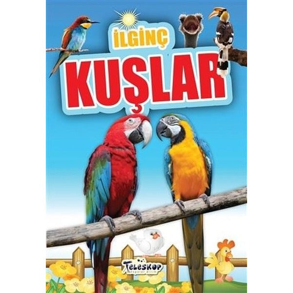 İlginç Kuşlar | Teleskop Popüler Bilim