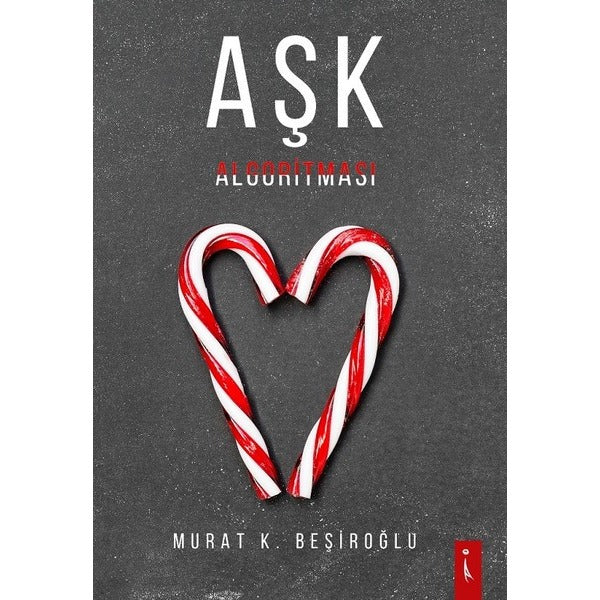 Aşk Algoritması | İkinci Adam Yayınları (İnce Kapak)