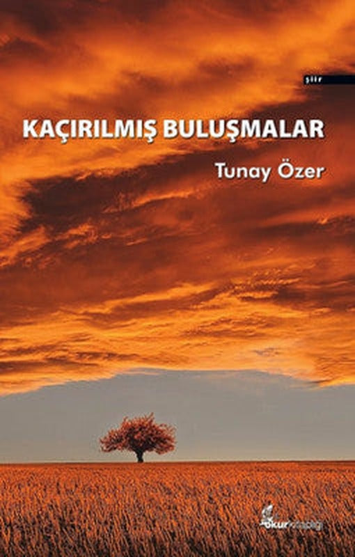 Kaçırılmış Buluşmalar | Okur Kitaplığı