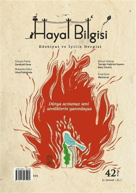 Hayal Bilgisi Dergisi Sayı: 42 | Hayal Bilgisi Dergisi (Ciltsiz)