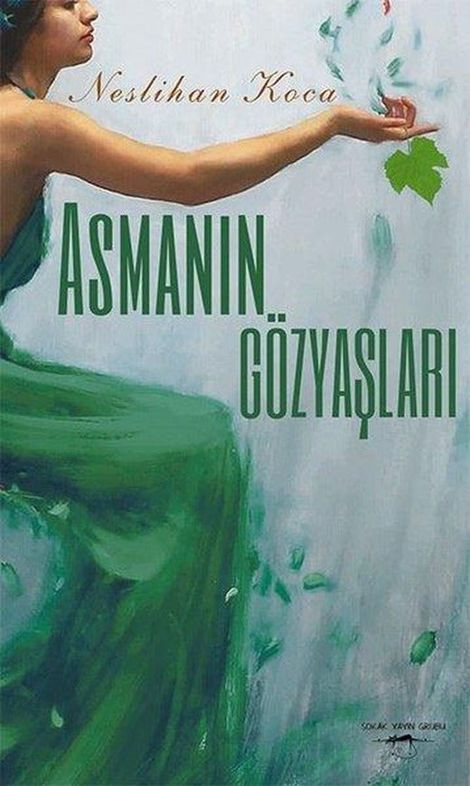 Asmanın Gözyaşları | Sokak Kitapları Yayınları (İnce Kapak)