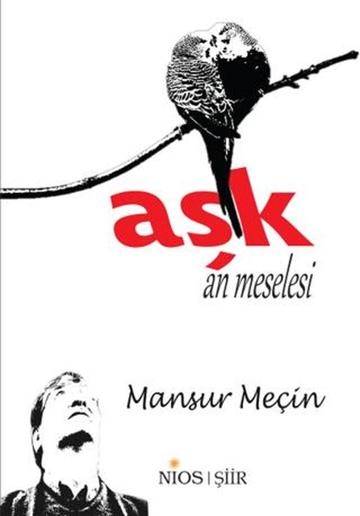 Aşk - An Meselesi