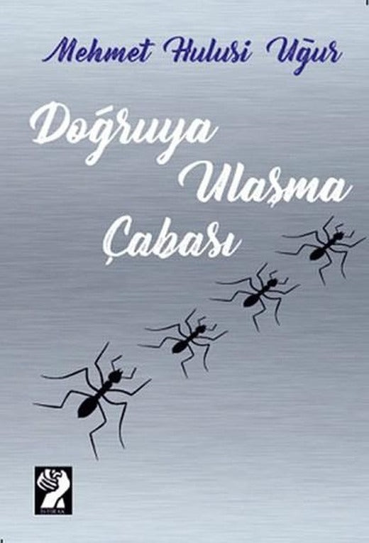 Doğruya Ulaşma Çabası | İştirak Yayınları (İnce Kapak)