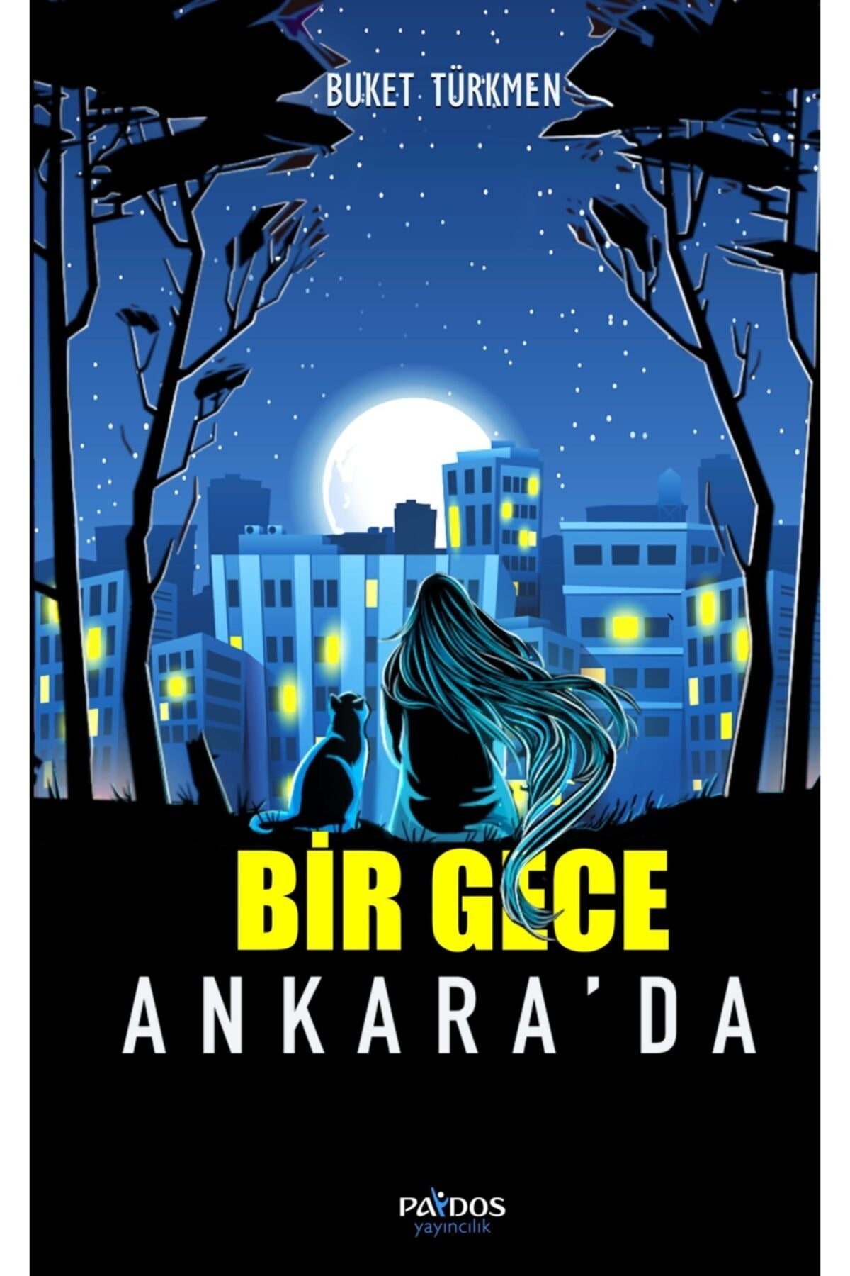 Bir Gece Ankara'da
