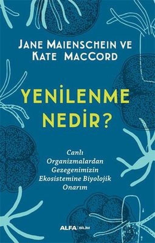 Yenilenme Nedir? | Alfa Yayıncılık
