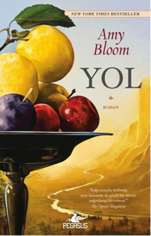 Yol | Pegasus (İnce Kapak)