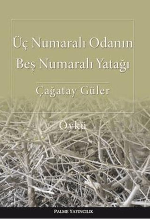 Üç Numaralı Odanın Beş Numaralı Yatağı | Palme Yayıncılık (Ciltsiz)