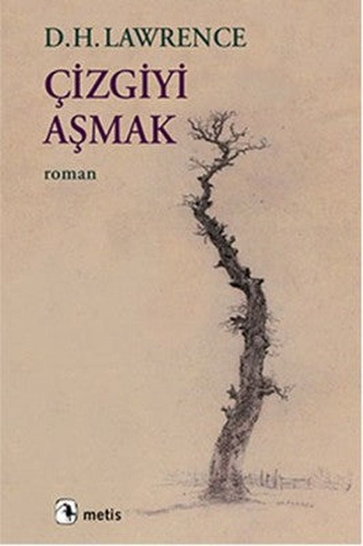 Çizgiyi Aşmak | Metis Yayınları