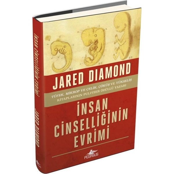 İnsan Cinselliğinin Evrimi