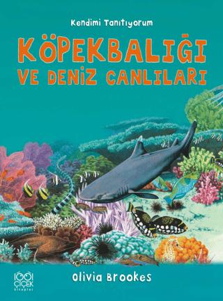 Köpek Balığı ve Deniz Canlılarına Soralım