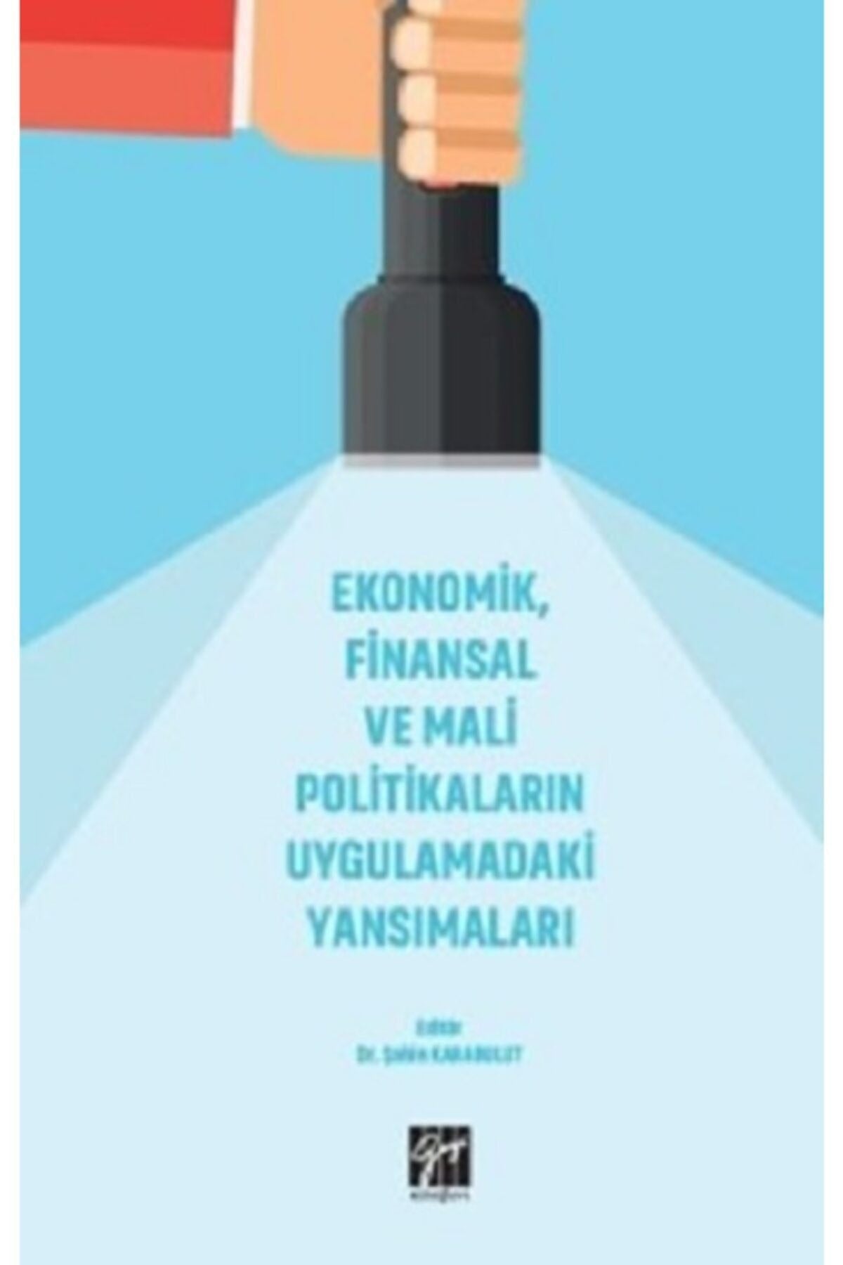 Ekonomik, Finansal ve Mali Politikaların Uygulamadaki Yansımaları