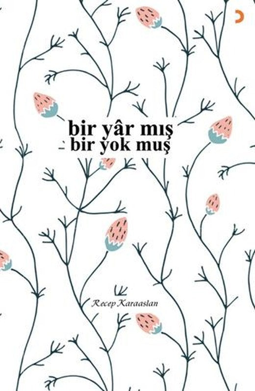 Bir Yar mış - Bir Yok muş