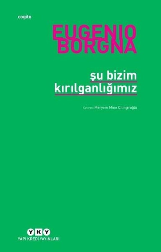 Şu Bizim Kırılganlığımız | Yapı Kredi Yayınları (İnce Kapak)