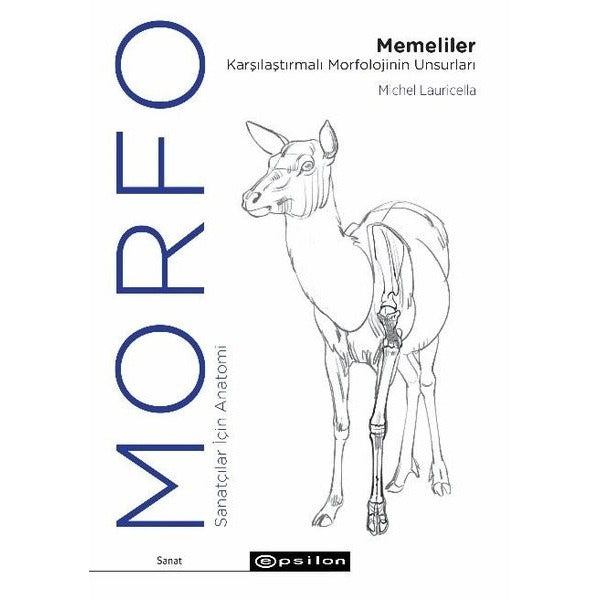 Morfo: Memeliler Karşılaştırmalı Morfolojinin Unsurları - Sanatçılar İçin Anatomi | Epsilon Yayınevi (İnce Kapak)