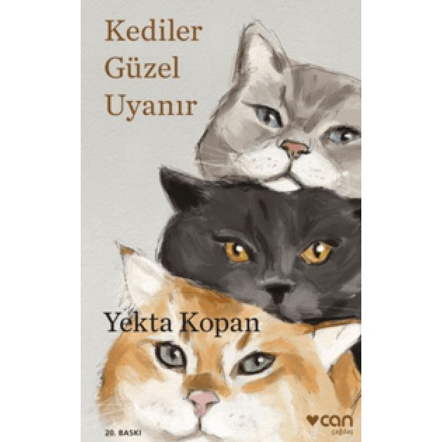Kediler Güzel Uyanır | Can Yayınları