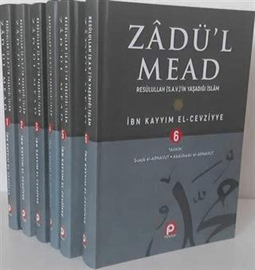 Zadü’l Mead (6 Cilt)