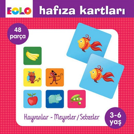 Hafıza Kartları | Eolo