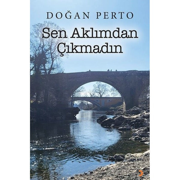 Sen Aklımdan Çıkmadın | Cinius (İnce Kapak)
