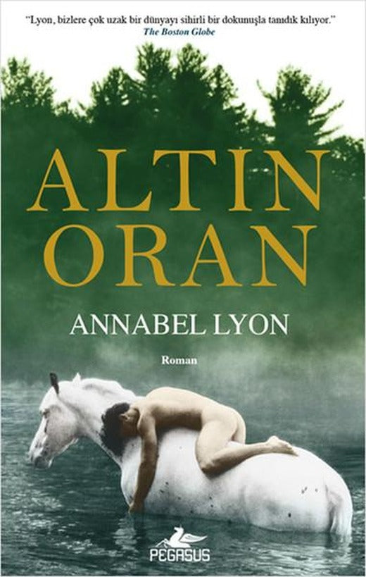 Altın Oran | Pegasus (İnce Kapak)