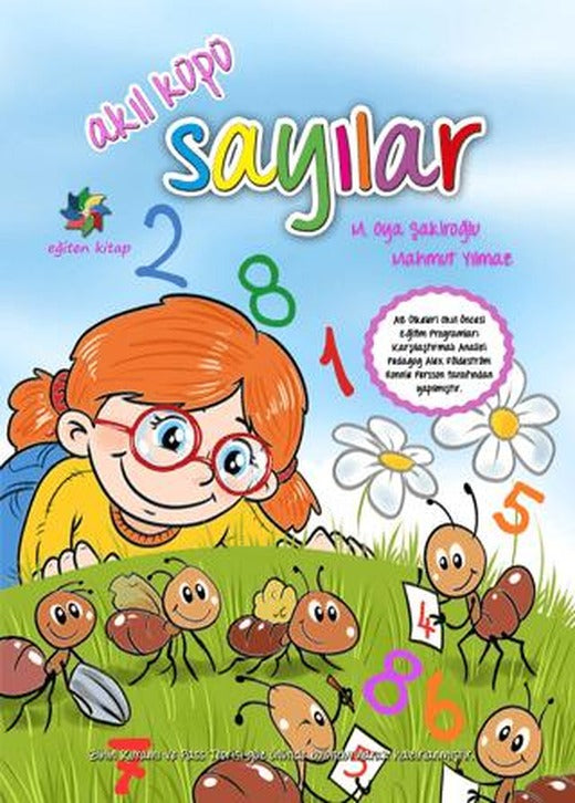 Akıl Küpü - Sayılar