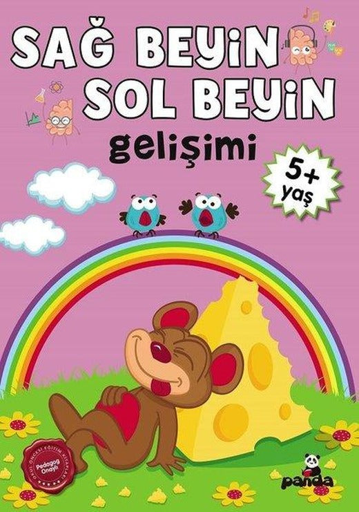 5 Yaş Sağ Beyin - Sol Beyin Gelişimi | Panda (İnce Kapak)
