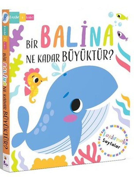 Bir Balina Ne Kadar Büyüktür? Kaydır Keşfet | İndigo Çocuk