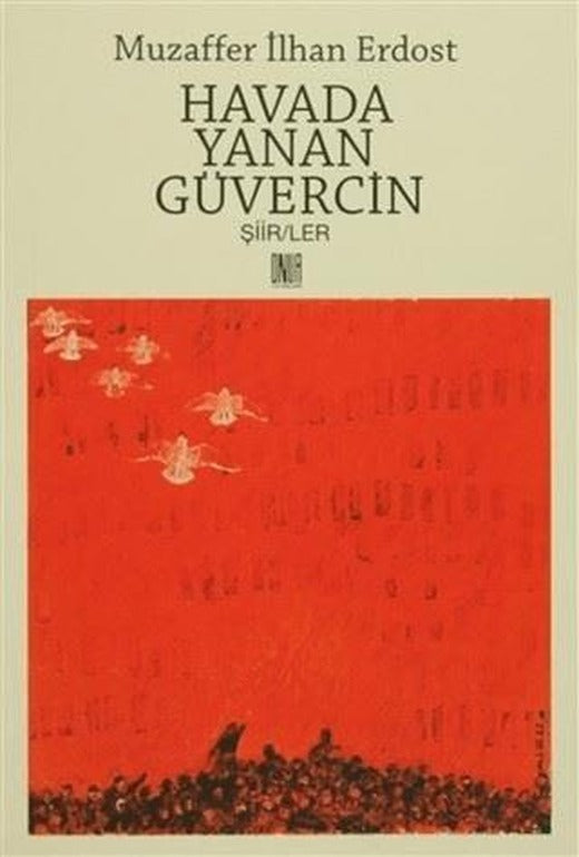 Havada Yanan Güvercin