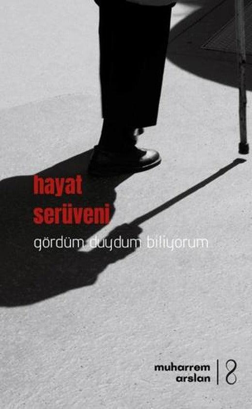 Hayat Serüveni | Bengisu Yayınları (Ciltsiz)