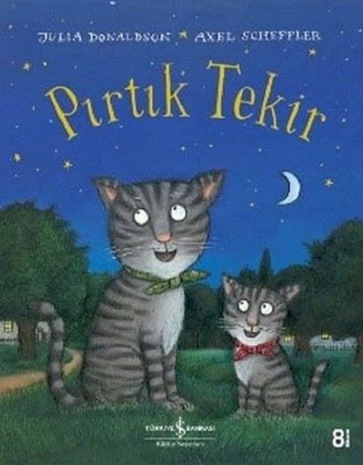 Pırtık Tekir-Büyük Boy | İş Bankası Kültür Yayınları