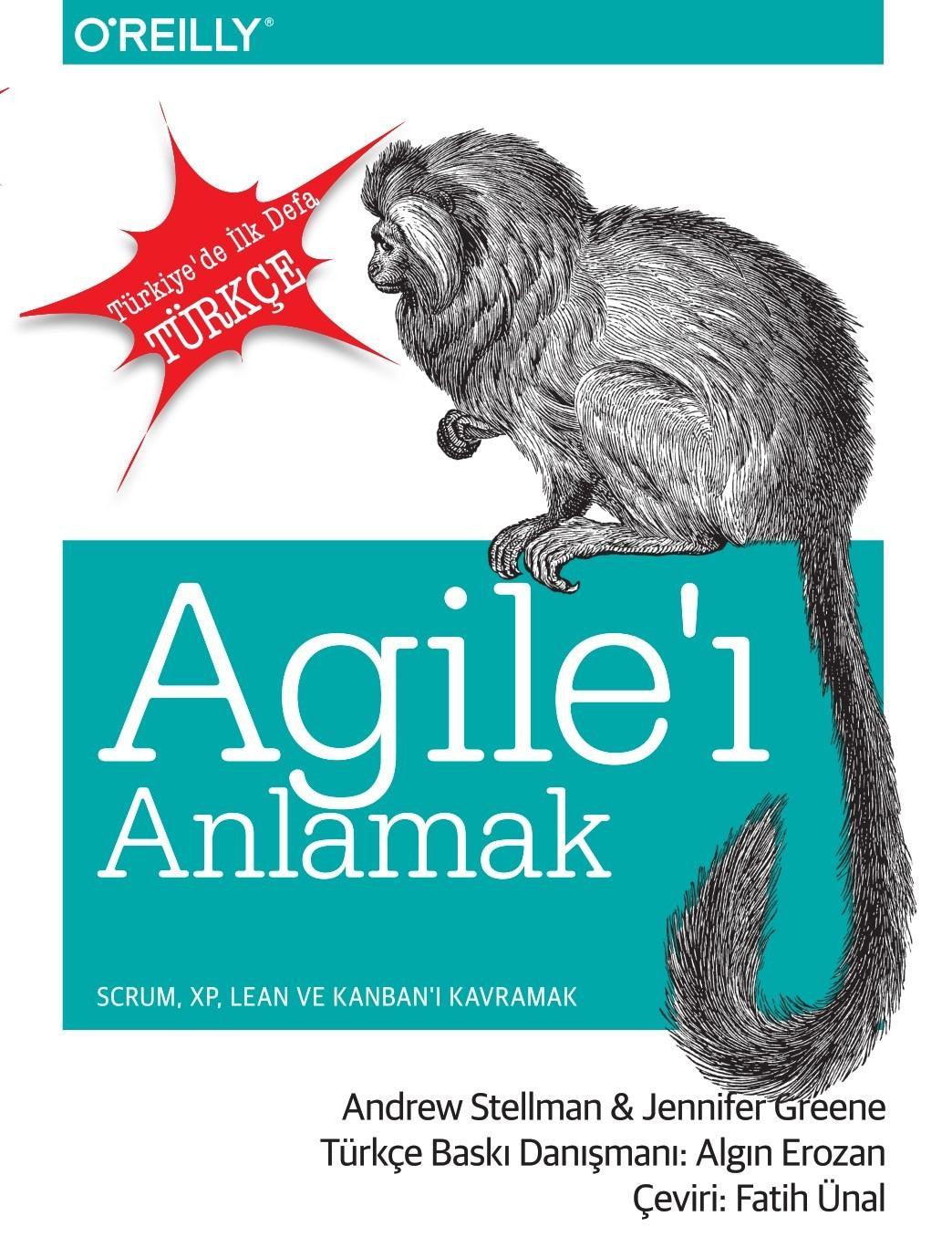 Agile'i Anlamak PMP, PMI-ACP, PSM ve PSPO Sınavlarına Yardımcı kitap kapağı