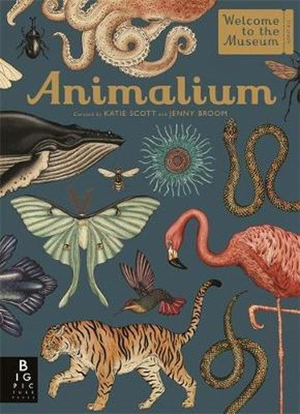 Animalium (Welcome To The Museum) - Jenny Broom kitap kapağı