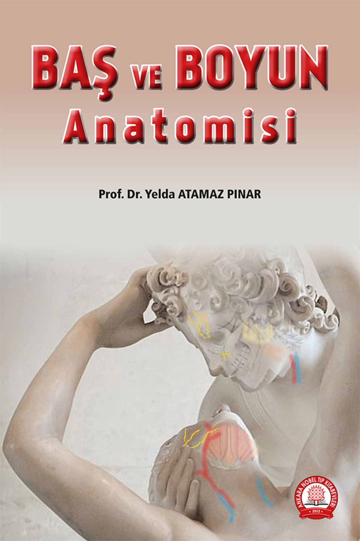 Baş Ve Boyun Anatomisi kitap kapağı