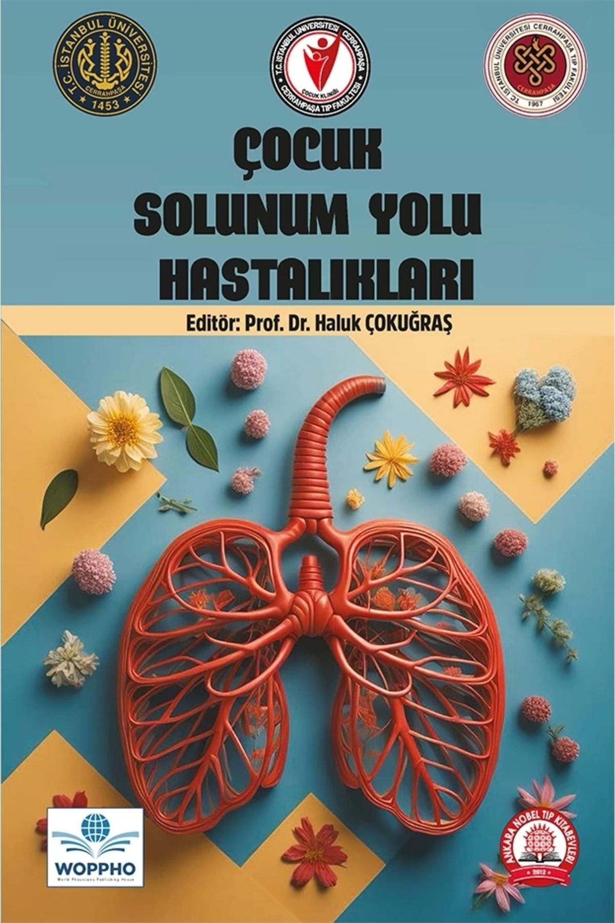Çocuk Solunum Yolu Hastalıkları - HALUK ÇOKUĞRAŞ kitap kapağı