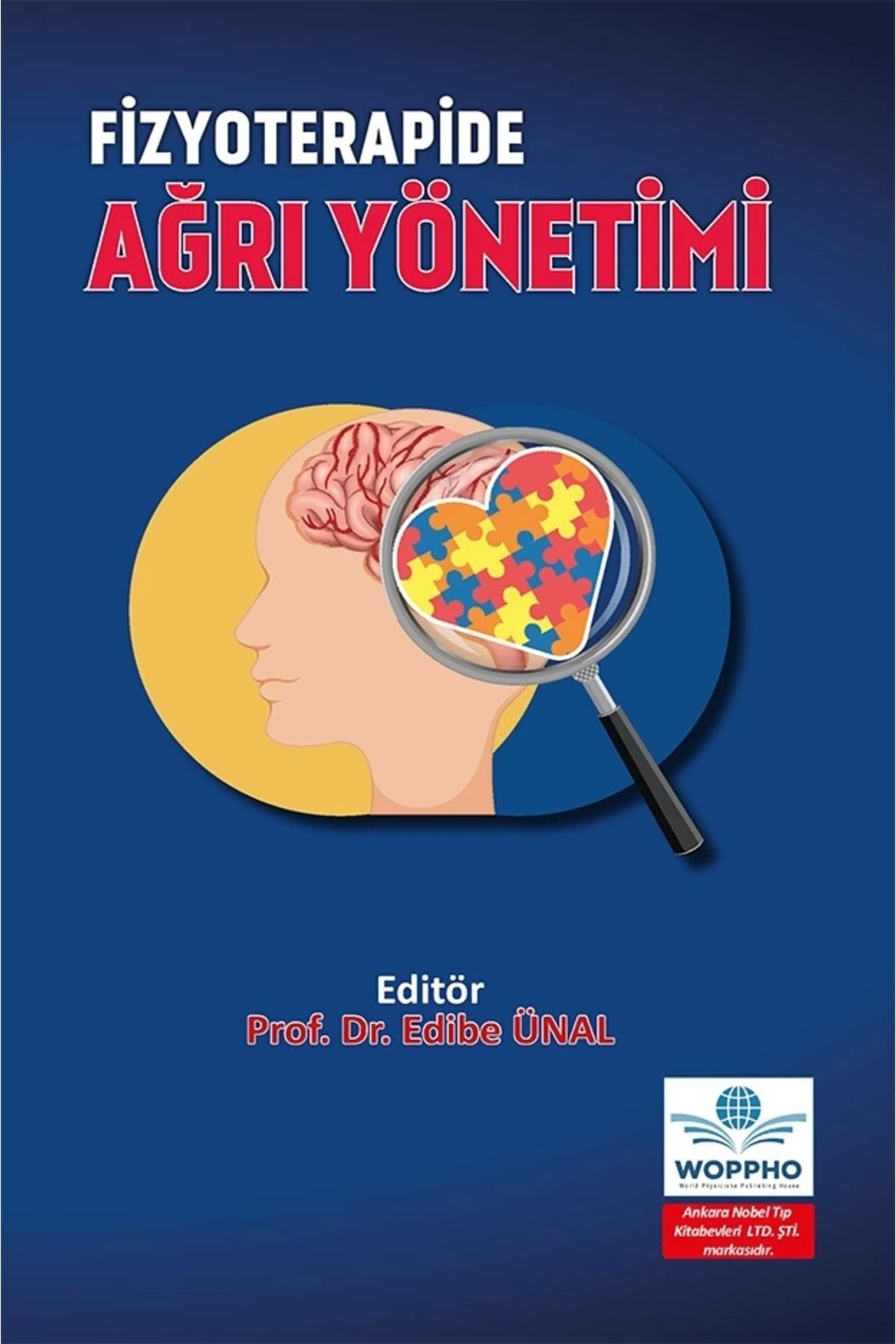 Fizyoterapide Ağrı Yönetimi kitap kapağı