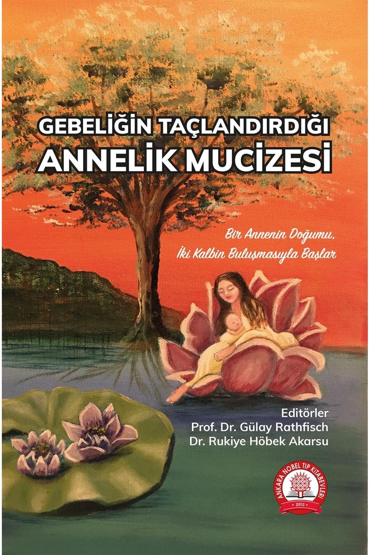 Gebeliğin Taçlandırdığı Annelik Mucizesi kitap kapağı