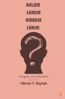 Cinius Yayınevi Anlamlandıramadıklarım & Hikmet F Bayhan - Hikmet F Bayhan kitap kapağı