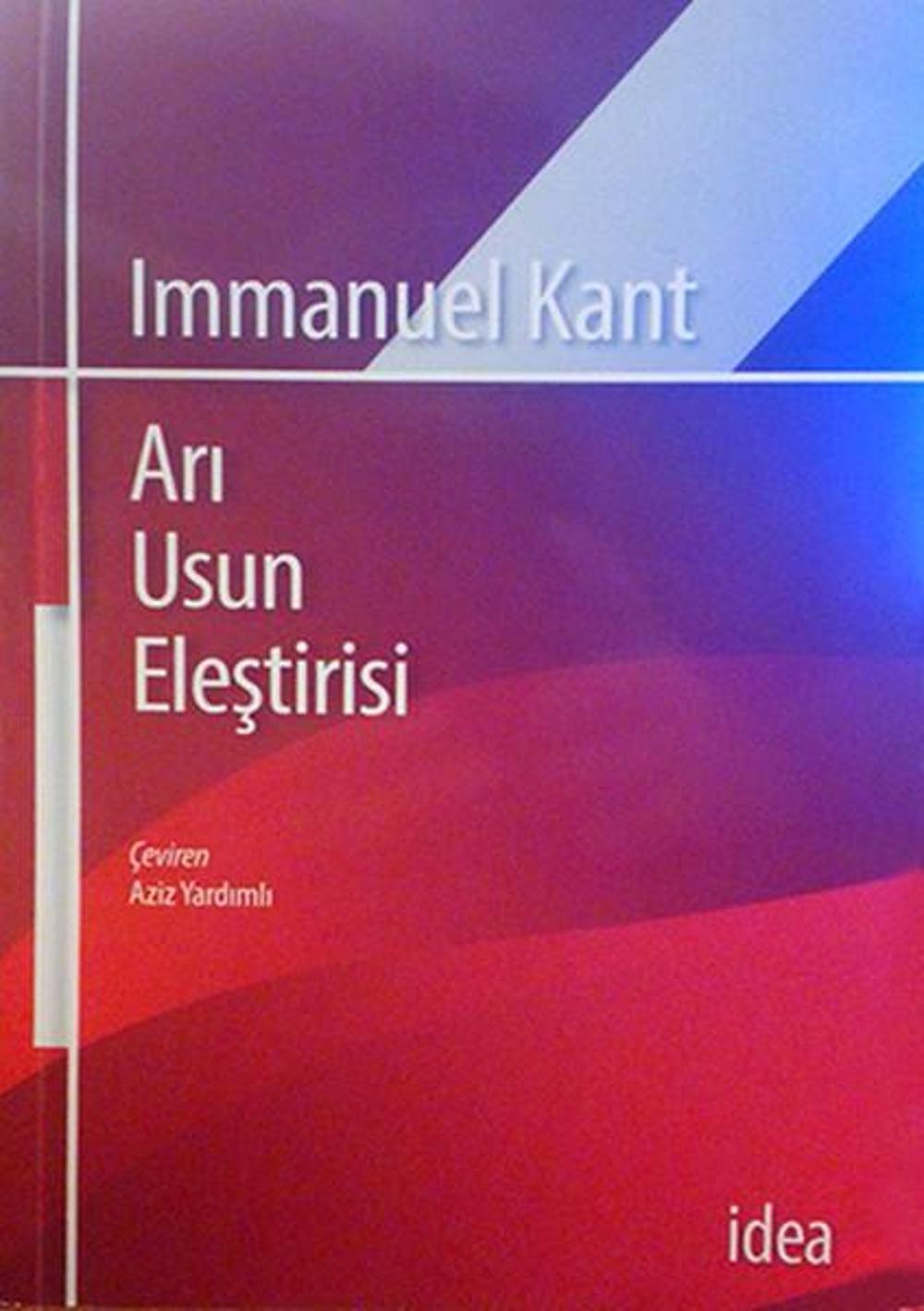 Arı Usun Eleştirisi | İdea Yayınevi