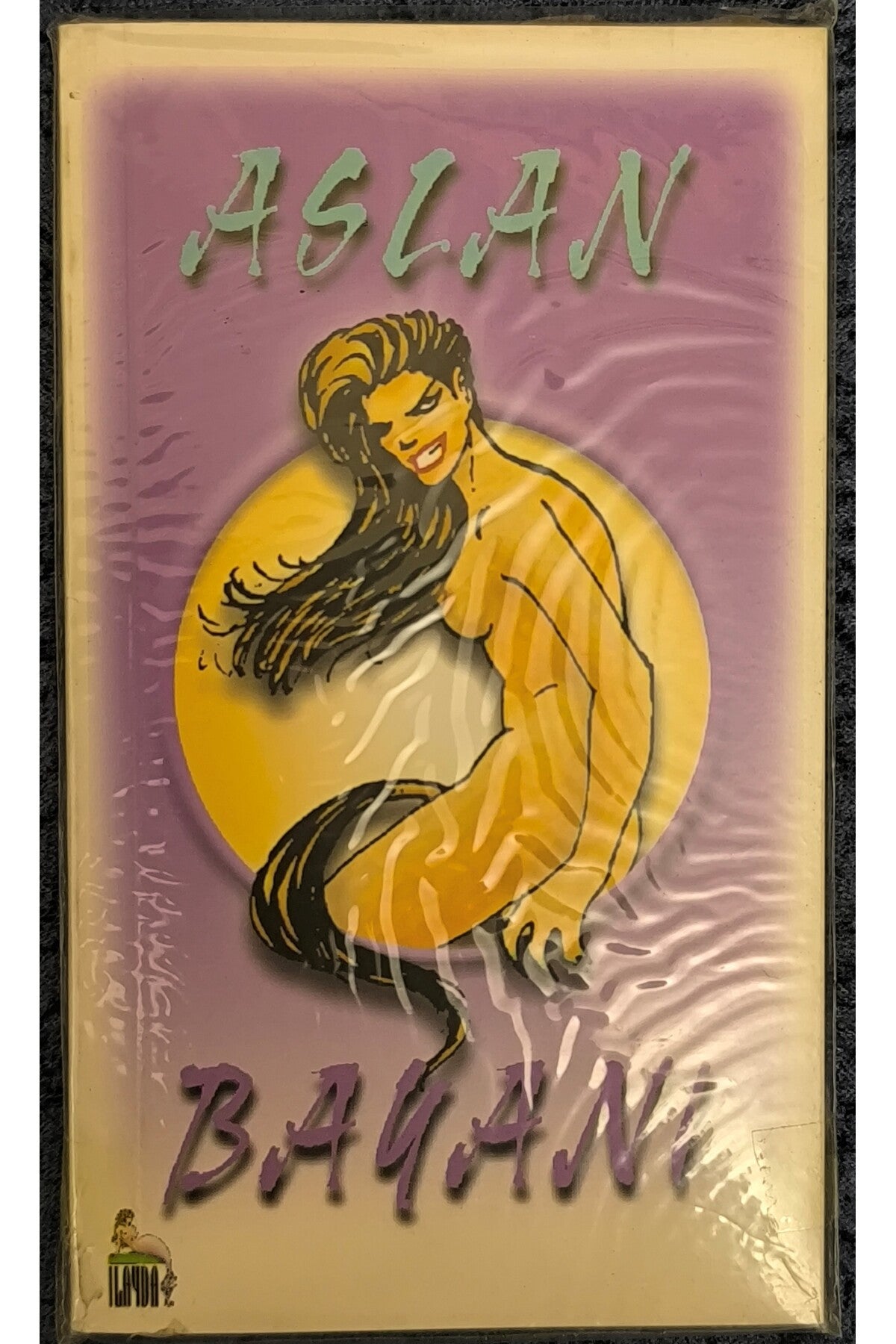 Aslan Bayanı (Cep Boy-Jelatin Poşetinde) kitap kapağı