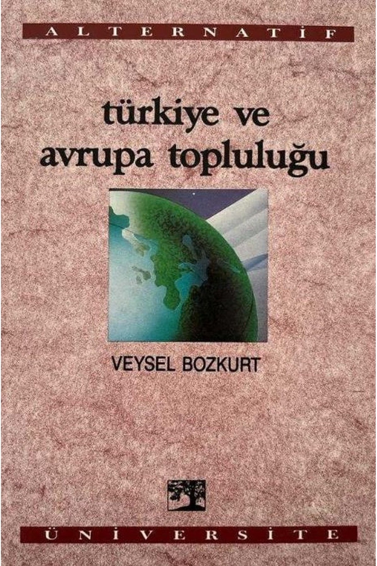 Avrupa Birliği Ve Türkiye - Veysel Bozkurt (1992 Basım) kitap kapağı