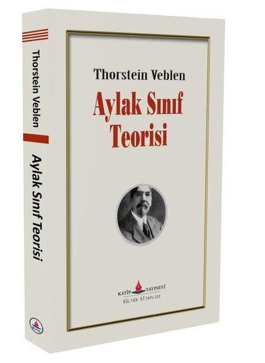 Aylak Sınıf Teorisi | Katip Yayınevi (İnce Kapak)