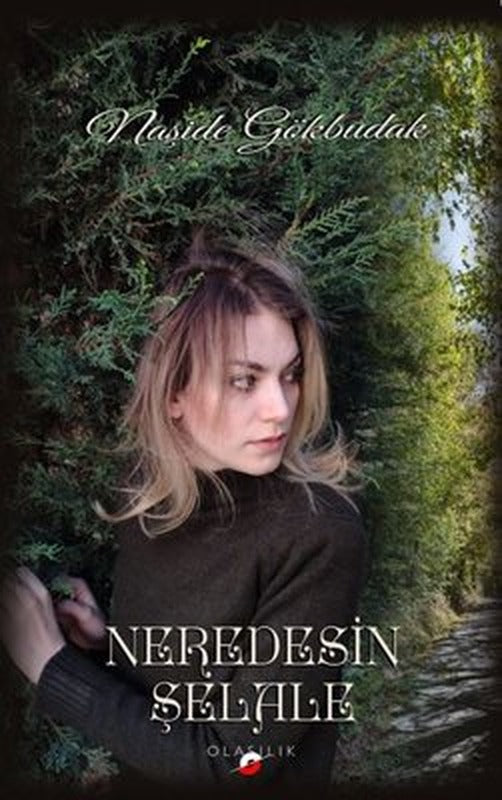 Neredesin Şelale | Olasılık