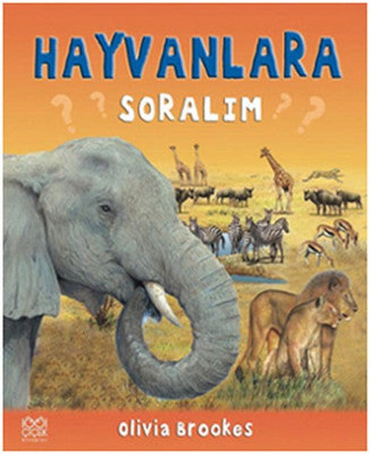Hayvanlara Soralım | 1001 Çiçek
