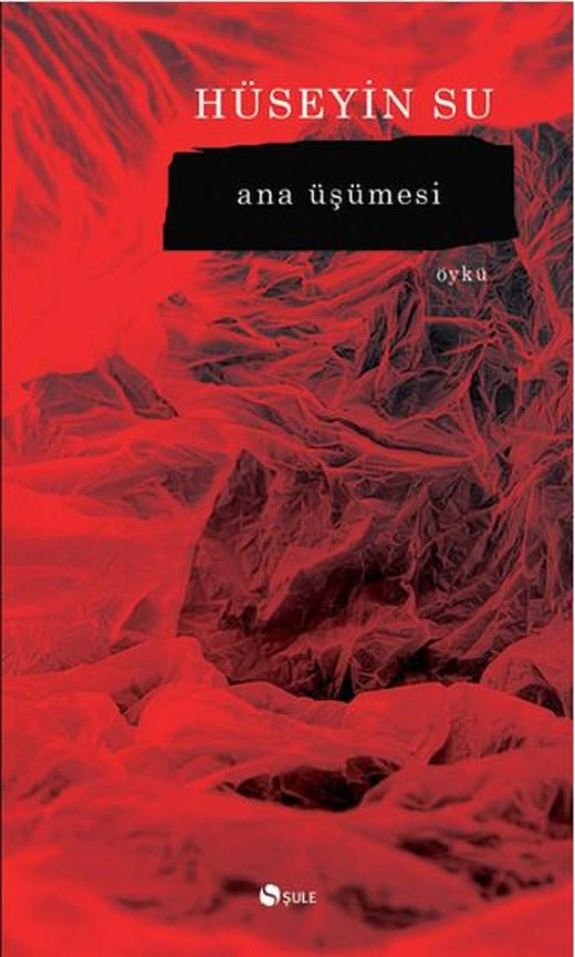 Ana Üşümesi | Şule Yayınları - Öykü Dizisi (İnce Kapak)